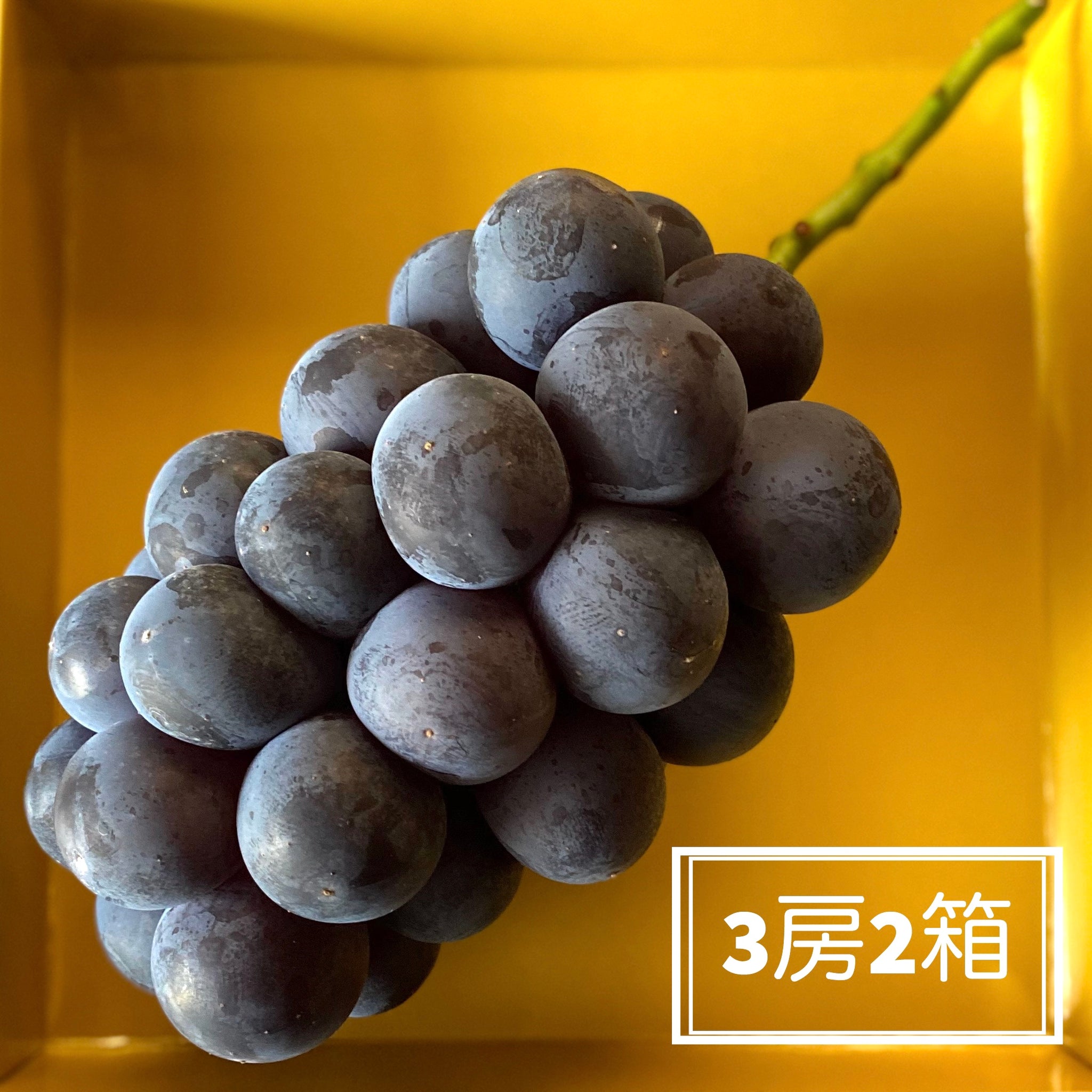 ペル  ブラックビート4kg ブラックビート3〜4房入り2箱セット(4.5kg以上) – KUBOTA FRUITS