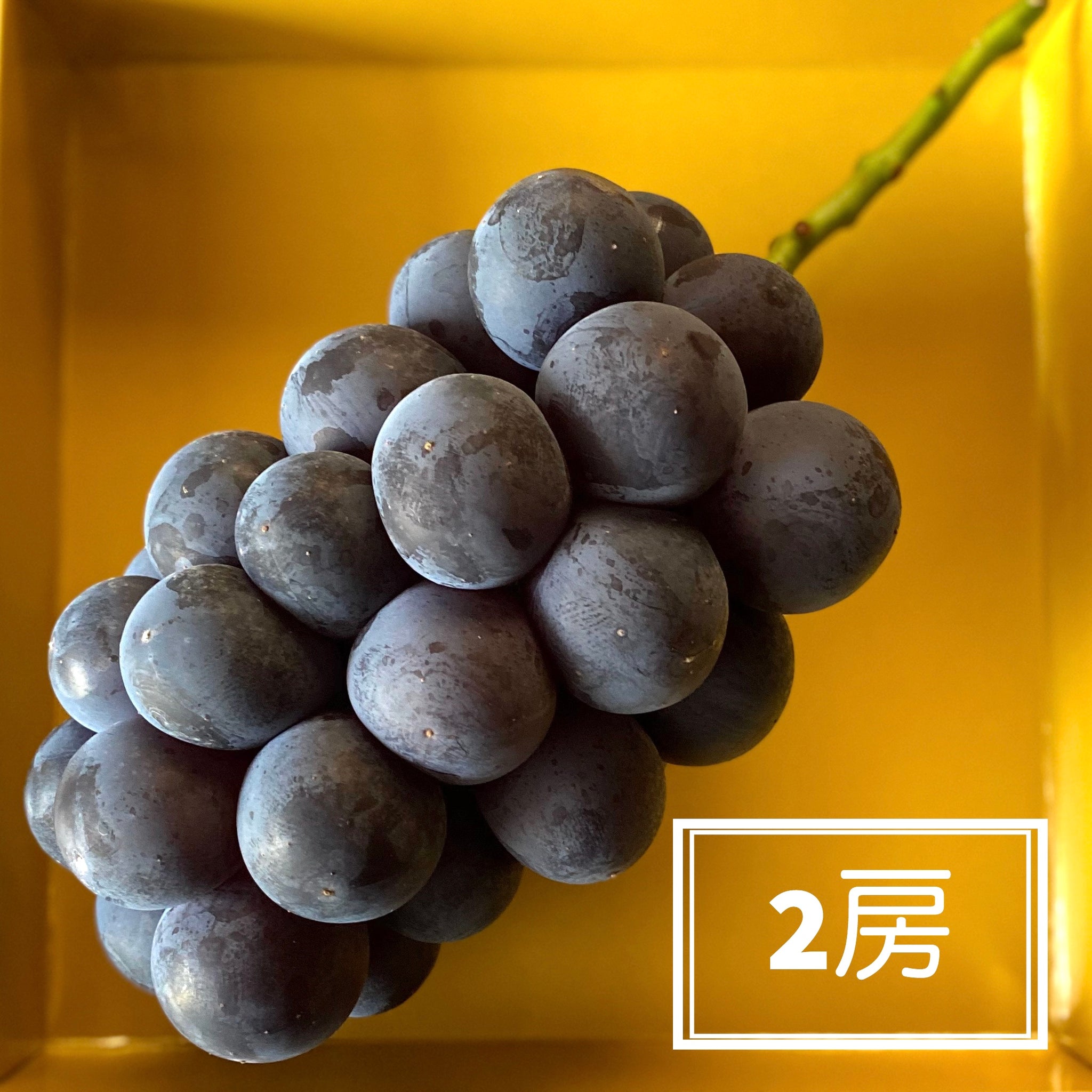 葡萄　ブラックビート 2kg C664F380-64C4-483C-A262-